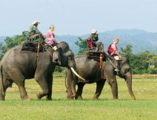 Dak Lak Tour Guides: The Call from the Grand Highlands Echoes to the Open Sea